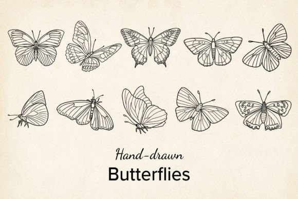Vector Butterfly: Graphics for Crafts and Creative Design