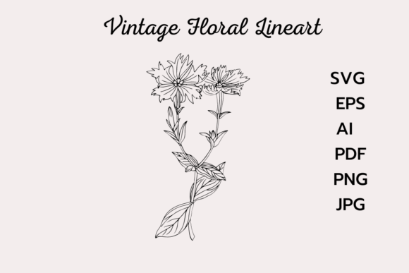 Vintage Flower Drawing Clipart for Graphics and Freebies