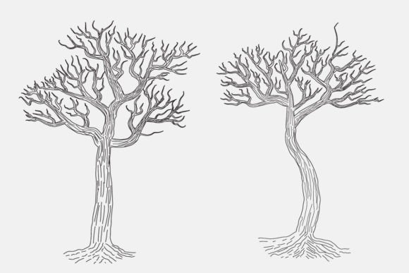 Winter Bare Horror Tree Sketch Vector Graphics